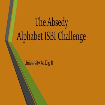 The Absedy Alphabet ISBI Challenge-University A
