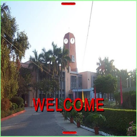 University research network and programmes 22.07.2006