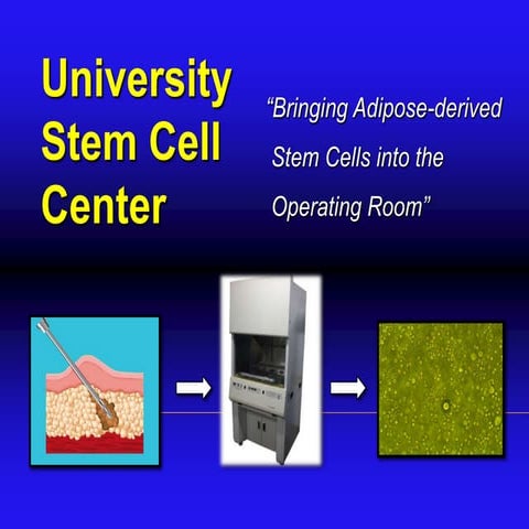 University Stem Cell Center