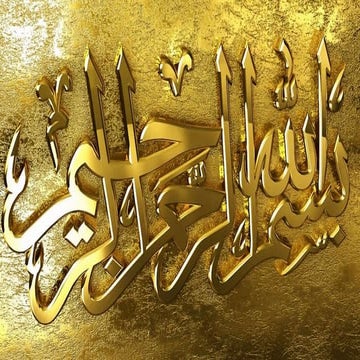 Universty admissions around the world 