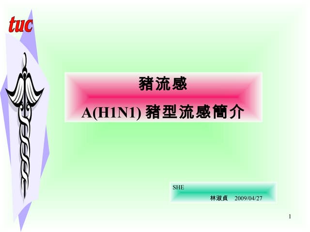 豬流感簡介