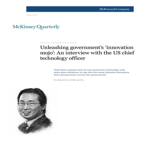 Unleashing government’s ‘innovation mojo’  an interview with the us chief tec...