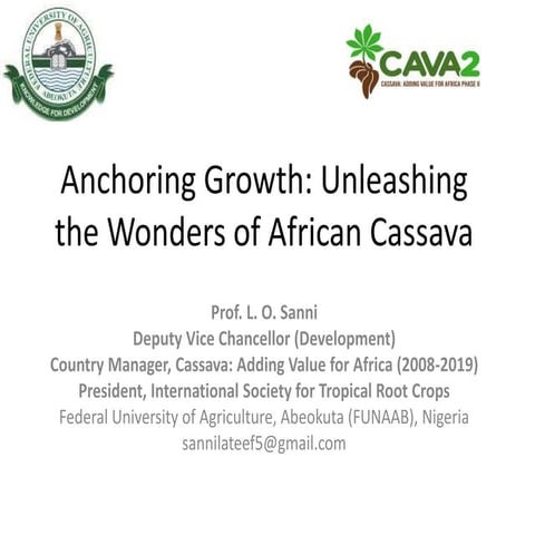 Anchoring Growth: Unleashing the Wonders of African Cassava