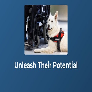 Service Dog Presentation | PPTX