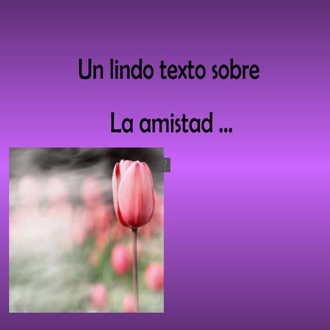Un lindo texto sobre la amistad