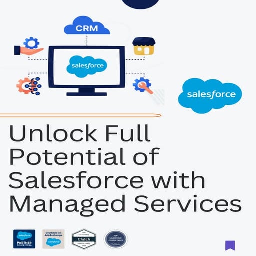 What does a Salesforce Managed Service Provider do? | PDF