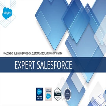 Unlocking Business Efficiency, Customization, and Growth with Expert Salesfor...