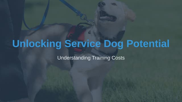 Unlocking Service Dog Potential Understanding Training Costs.