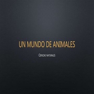 Un mundo de animales