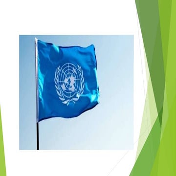 United Nations organisations and its organs .pptx