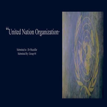 United Nation Organisation An International Organisation