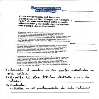 Un oso panda bebé en San Diego
