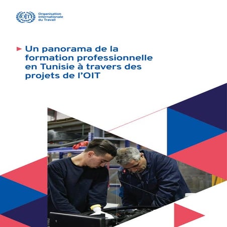 Un panorama de la formation professionnelle en Tunisie (page).pdf