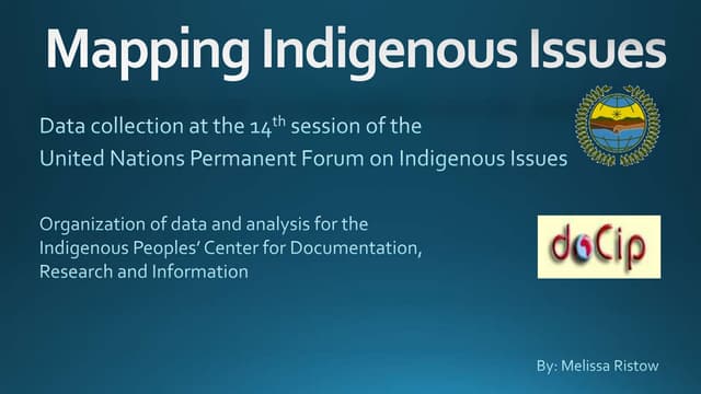 Mapping of the United Nations Permanent Forum on Indigenous Issues