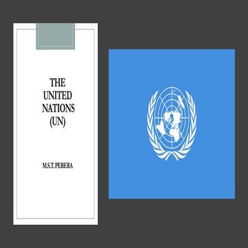 The United Nations- Summary