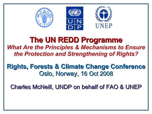 The UN-REDD initiative