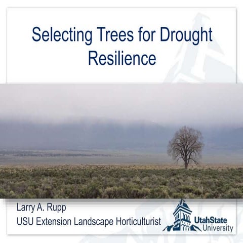 Selecting Trees for Drought Resilience | PPTX
