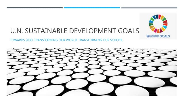 UN SDG PRIORITIES IN EDUCATION
