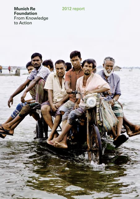 Unsgsa   munich re foundation from knowledge to action 2012 report (full report)