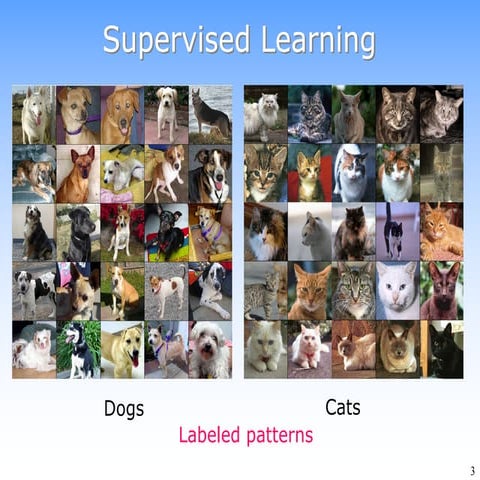 Understanding Supervised and Unsupervised Learning in Data Science | PDF