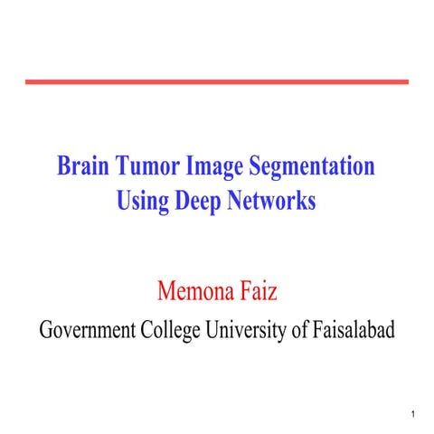 Long and short term memory presesntation