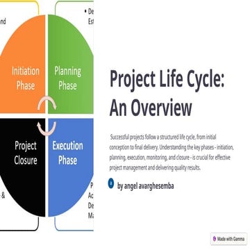 Project life cycle enhancement every level of action