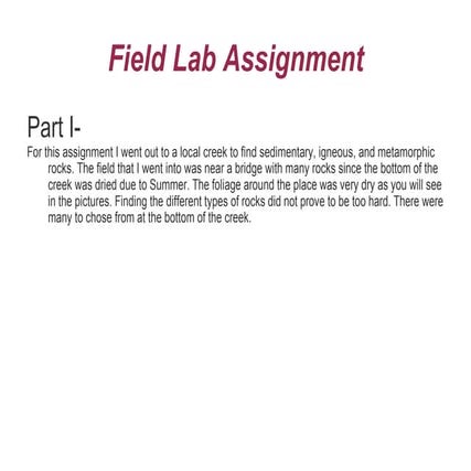 Field Lab Assignment