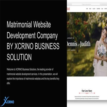 Matrimonial Website Development Company