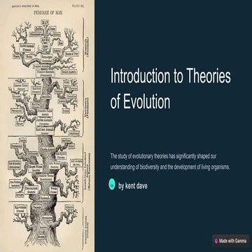 evolutionary theories of the  evolutions