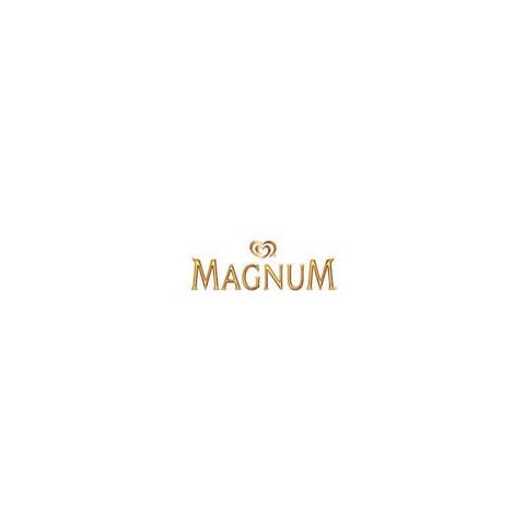 CASE STUDY - 'MAGNUM ICE CREAM' by Sharad Dhuliya, J Prateek Kundu and Mukul ...
