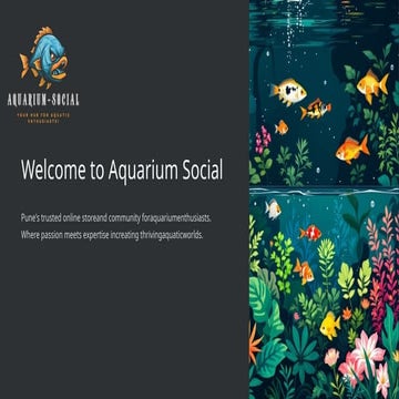 SETTING UP A FRESHWATER AQUARIUM FOR BEGINNERS