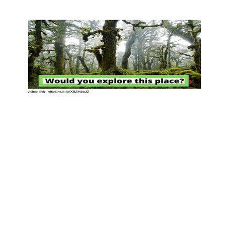 Untitled document | PDF