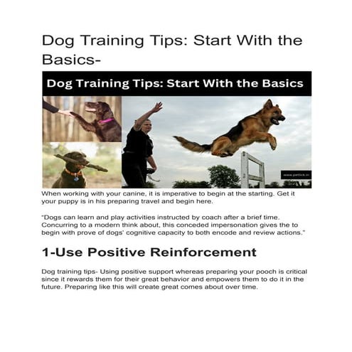 Utility of dogs, preparation of dogs for dog show and principles of ...