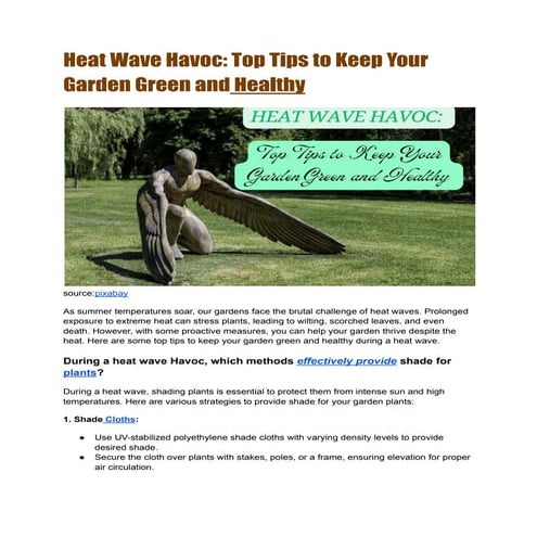 15 Summer Gardening Tips to Keep Your Plants Green and Healthy | PDF