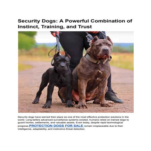 Security Dogs: A Powerful Combination of Instinct, Training, and Trust ...