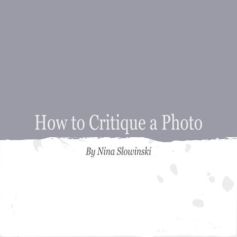 Critiquing Photographs