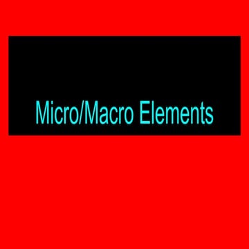 Micro and Macro elements