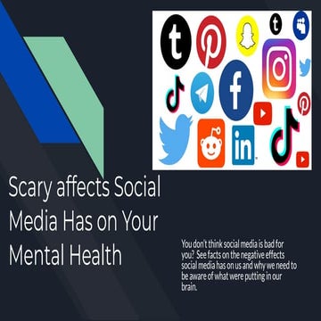 BUS 271 Landry Burnes, The Effects of Social Media