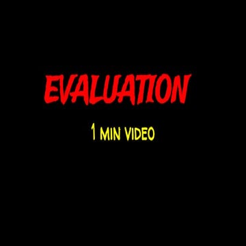 1 min video Evaluation