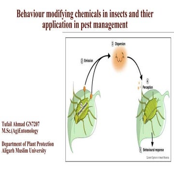 Behaviour modifying chemicals in insects , semiochemicals in insects,  Insect...