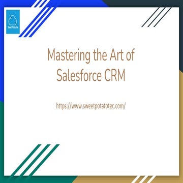 Mastering the Art of Salesforce CRM