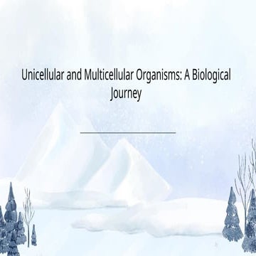 grade 7  Untitled presentation (17).pptx