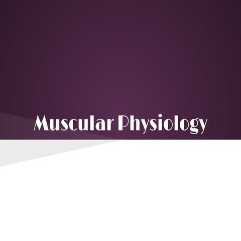 Muscular Physiology