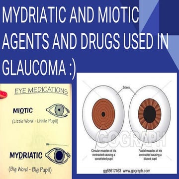 MYDRIATIC AND MIOTIC AGENTS AND DRUGS USED IN GLAUCOMA 