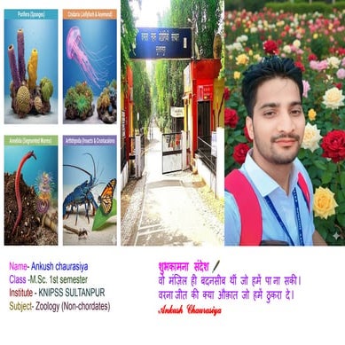 M.Sc. Nonchordates Complete Syllabus PPT | All Important Topics Covered