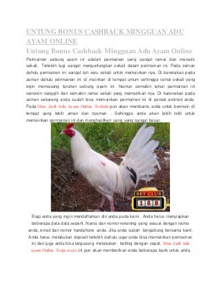 Untung bonus cashback mingguan adu ayam online