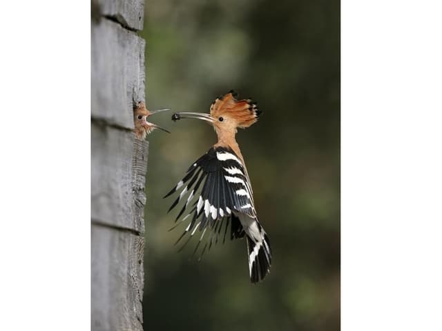 Unusual Photos @ Unusual Moments