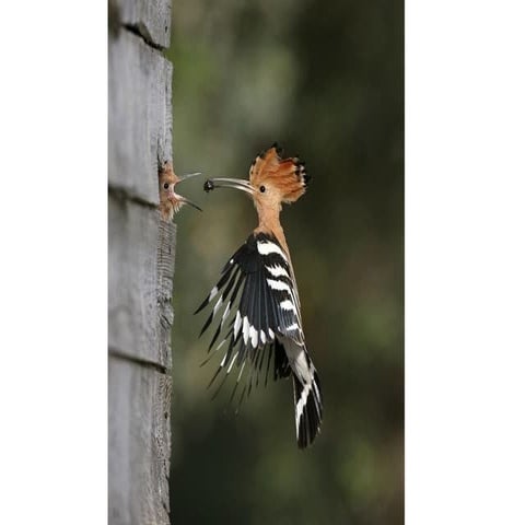 Unusual Photos @ Unusual Moments