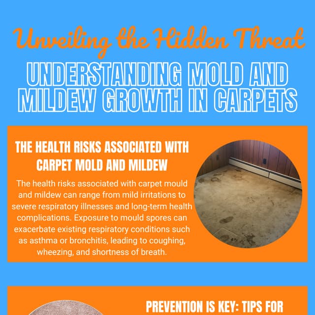 Unveiling the Hidden Threat: Understanding Mold and Mildew Growth in ...