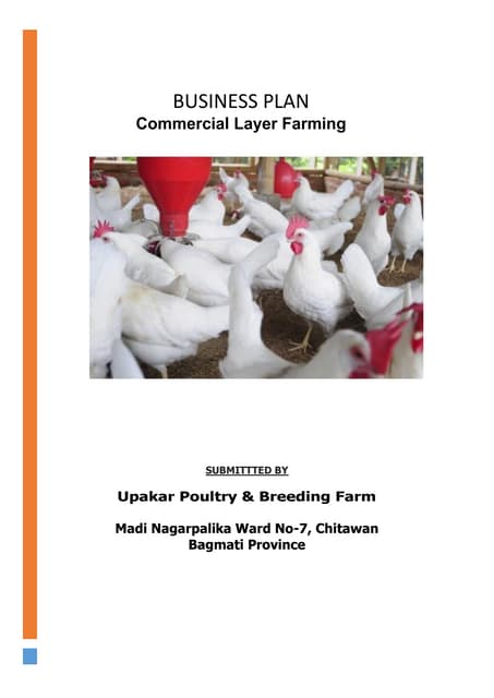 A closer look at Chicken Farm Business Proposal